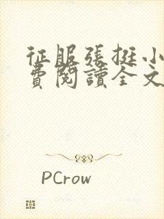 征服张挺小说免费阅读全文