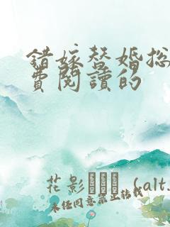 错嫁替婚总裁免费阅读的