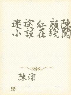 迷途红颜陈梦洁小说在线阅读