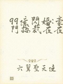 99亿闪婚:豪门总裁夜夜忙