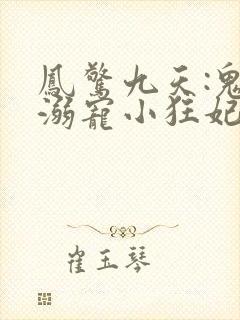 凤惊九天:鬼帝溺宠小狂妃南霜