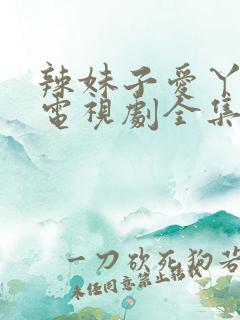 辣妹子爱丫爱丫电视剧全集免费播放