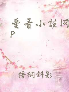 爱看小说网app