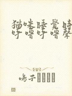 猫咪睡觉时发出呼噜呼噜声音