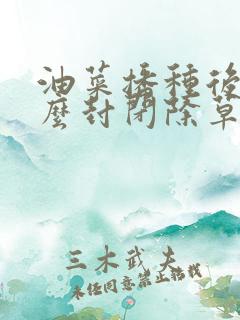 油菜播种后用什么封闭除草剂