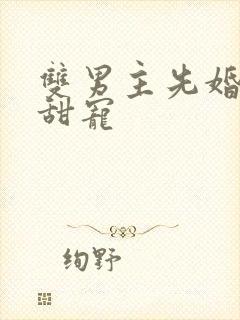双男主先婚后爱甜宠