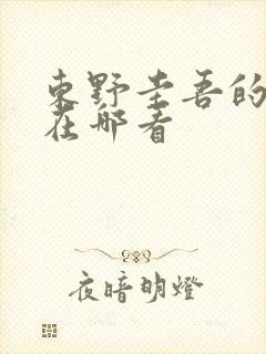 东野圭吾的小说在哪看