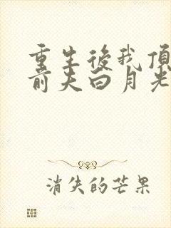 重生后我顶替了前夫白月光 九九月