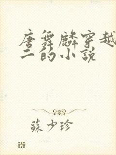 唐舞麟穿越到斗二的小说