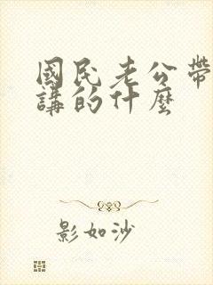 国民老公带回家讲的什么