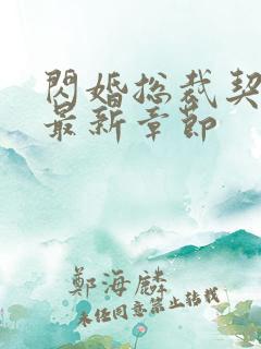 闪婚总裁契约妻最新章节
