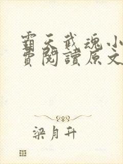 霸天武魂小说免费阅读原文