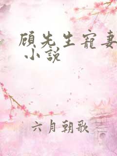 顾先生宠妻有度 小说