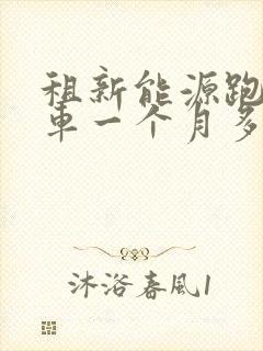 租新能源跑网约车一个月多少钱