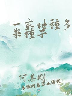 一亩地种多少玉米种子