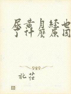 尿黄月经也推迟了什么原因引起的