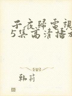 子夜归电视剧35集高清播放