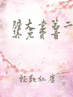 胆大党第二季全集免费看