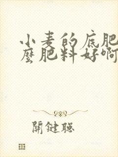 小麦的底肥用什么肥料好啊