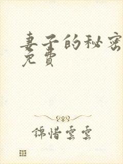 妻子的秘密短剧免费