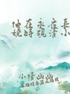 他在永夜长眠苏娆时砚清小说阅读