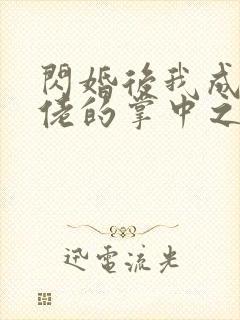 闪婚后我成了大佬的掌中之物免费观