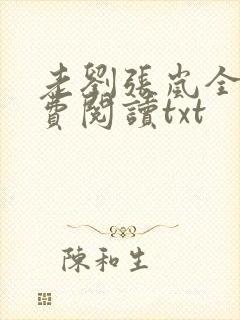 老刘张岚全文免费阅读txt