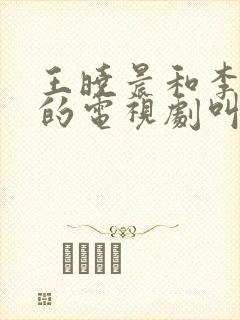 王晓晨和李晨演的电视剧叫什么