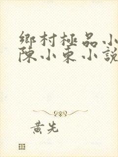 乡村极品小医仙陈小东小说在线阅读