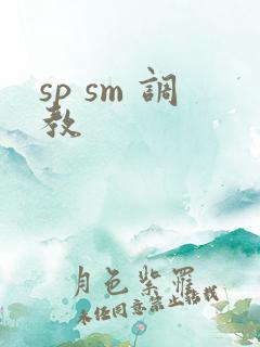 sp sm 调教