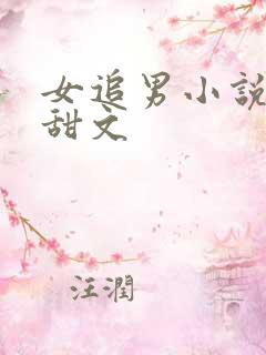 女追男小说推荐甜文