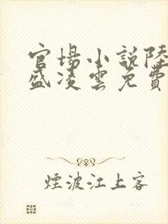 官场小说陆羽与盛凌云免费阅读