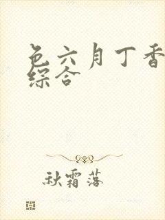 色六月丁香婷婷综合