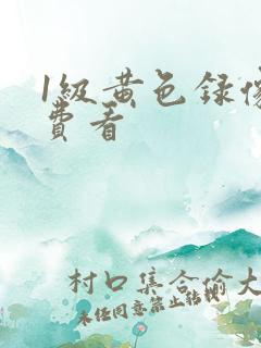 1级黄色录像免费看