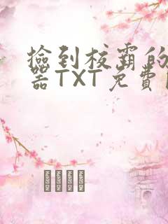 捡到校霸的遥控器TXT免费阅读