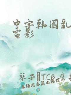 中字韩国乱理伦电影