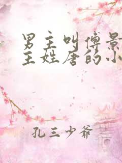 男主叫傅景琛女主姓唐的小说