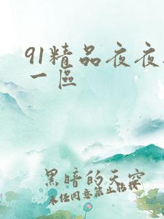 91精品夜夜夜一区