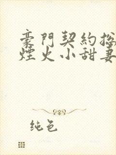 豪门契约总裁的烟火小甜妻小说