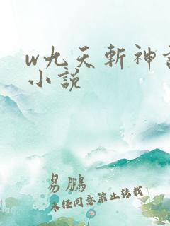 w九天斩神诀》小说