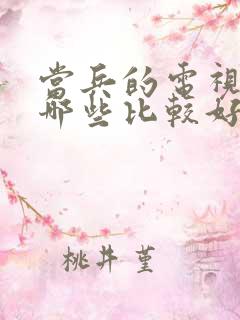 当兵的电视剧有哪些比较好看的