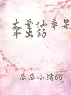 大爱仙尊是哪一年出的