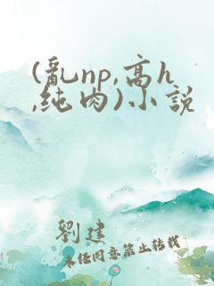 (乱np,高h,纯肉)小说