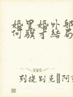 婚里婚外那些事何骥才结局