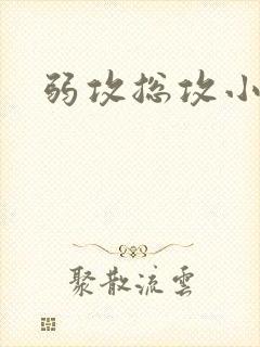 弱攻总攻小说