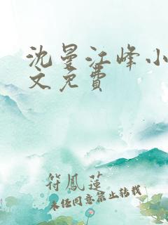 沈曼江峰小说全文免费