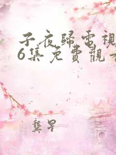 子夜归电视剧26集免费观看全集高清