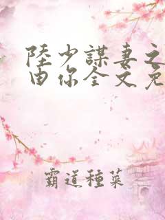 陆少谋妻之婚不由你全文免费阅读