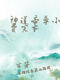 神道帝尊小说免费完本