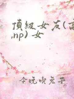 顶级女友(高h,np) 女